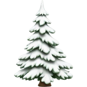  actual white fir christmas tree isolated.  sticker