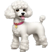 fancy French caniche sticker