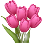 Bouquet of pink tulips sticker
