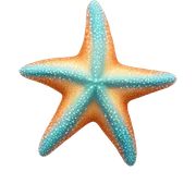 Starfish sticker