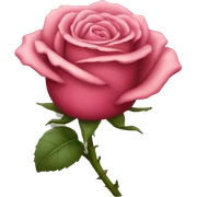 Rose sticker