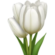 White tulip bouquet sticker