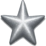 Silver glitter star sticker
