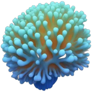 Coral blue sticker