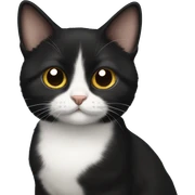 Black munchkin cat sticker