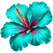 Turquoise hibiscus flower  sticker