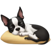 boston terrier sleeping sticker