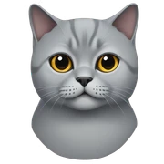 British Shorthair sticker