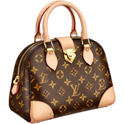 louis Vuitton bag  sticker