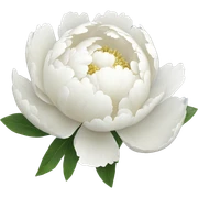 White Peony sticker
