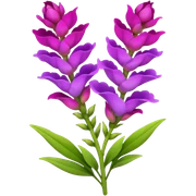 Snapdragon sticker