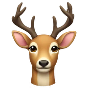 deer sticker