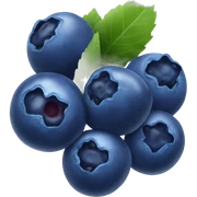 Blueberries  sticker