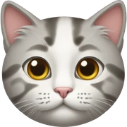 Cat  sticker