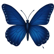 Navy blue butterfly  sticker