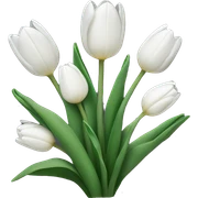White tulips sticker