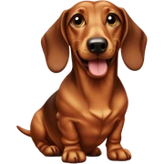 Dachshund  sticker