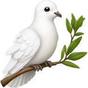 A dove of peace with a green twig in its beak sticker
