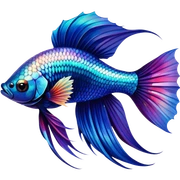 fish betta sticker