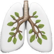 Lung sticker