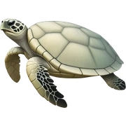 White Pastel sea turtle sticker