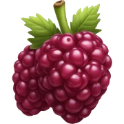 Framboise sticker