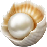Shell pearl sticker