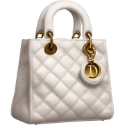 Dior luxury bag sticker