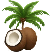 coconut sticker