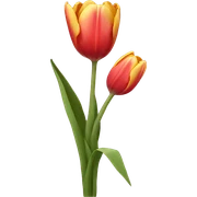 Tulips  sticker