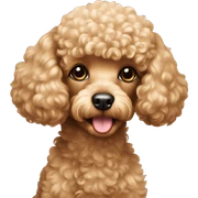 Toy poodle sticker