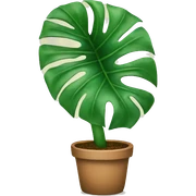 Happy monstera plant sticker