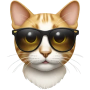 Cat with sunglasses sticker