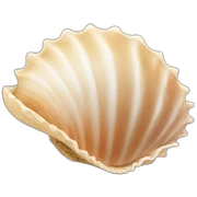 sea shell sticker