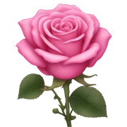 Pink rose sticker
