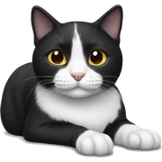 black and white cat sticker
