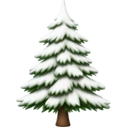  actual white fir christmas tree isolated.  sticker