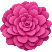 pink sticker