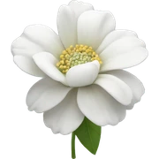 white flower sticker