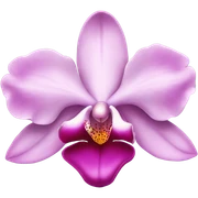 Pink orchid sticker