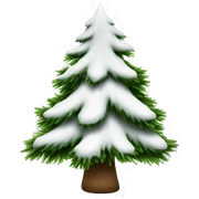  actual white fir christmas tree isolated.  sticker