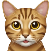A tabby cat sticker