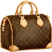 Louis Vuitton bag sticker