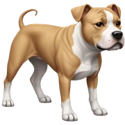 Staffy sticker
