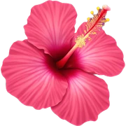 Hibiscus flower sticker