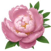 Peonies  sticker