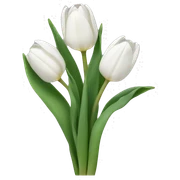 White tulips sticker