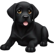 Black Labrador puppy layiny sticker