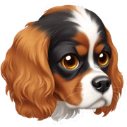 cavalier king charles spaniel sticker
