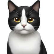 Black and white cat sticker